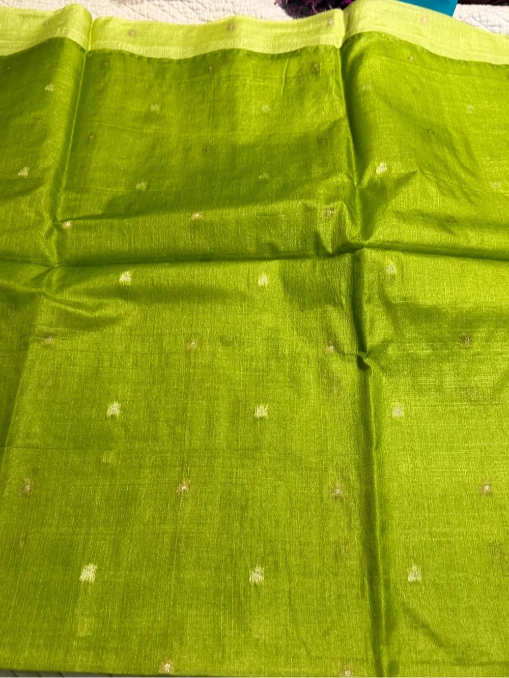 Light Green Embroidered Women’s Saari new silk